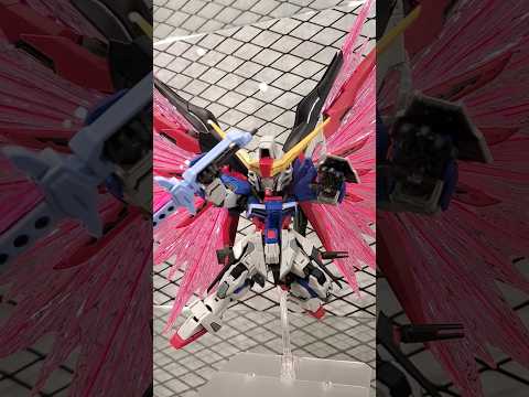 MGSDデスティニーガンダム デスティニーガンダム　新商品　ガンプラ　mgsd