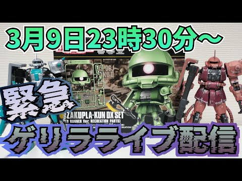 緊急ギリギリザクの日ゲリラライブ配信！ サムネイル
