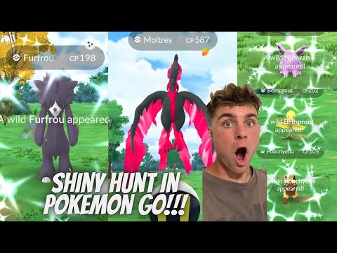✨2 Galarian Bird SHINY CHECKS, 3x 100 IV Pokemon and Shiny… サムネイル