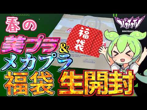 【プラモ福袋】大当たり来るか？！春のメカプラ福袋&美プラ福袋3万円分を生開封！！【ガンプラ福袋】【雑談】 サムネイル
