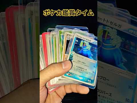 ポケカ鑑賞タイム ポケモンカード チャンネル登録お願いします ポケカ ポケカ再販最新情報 pokemoncards p… サムネイル