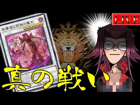 【マスター５～】そろそろデッキをいじいじしてもいい頃なのかもしれません【黒薔薇ンクマ＃１１ 遊戯王マスターデュエル】 サムネイル
