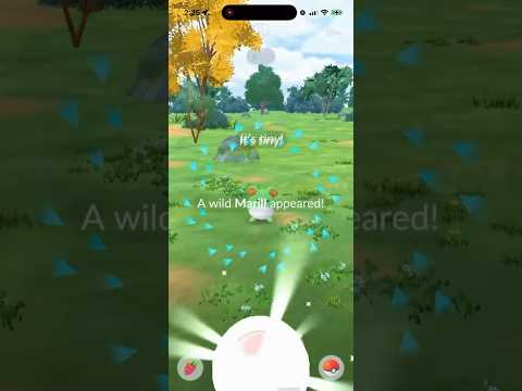 ✨I Caught THIS TINY SHINY Pokemon in Pokemon Go!✨ shorts po… サムネイル