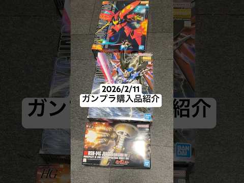 2026/2/11 ガンプラ購入品紹介！ガンダムベースで買ったMGキュベレイMk-Ⅱ（プルツー専用機）にMGデスティニ… サムネイル