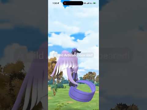 I ALMOST Missed A Galarian Bird in Pokemon Go! shorts pokem… サムネイル