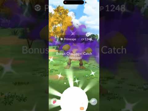✨*RARE* SHINY SHADOW PRIMEAPE CAUGHT IN POKEMON GO!!!✨ shor… サムネイル