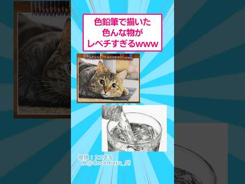 色鉛筆で描いた色んなものがレベチすぎるwww おもしろ アート サムネイル