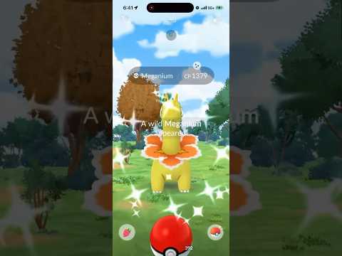 ✨EVOLVED SHINY!!! WILD SHINY MEGANIUM CAUGHT IN POKEMON GO!… サムネイル