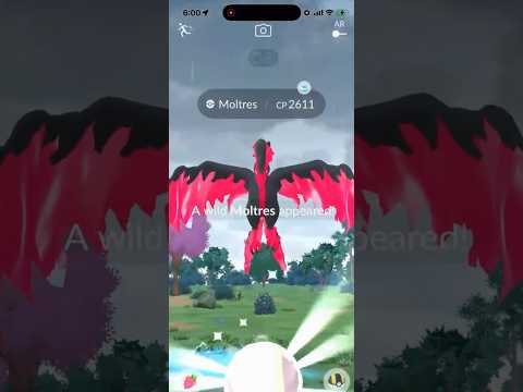 I CAUGHT a Galarian Moltres in Pokemon Go! shorts pokemon サムネイル