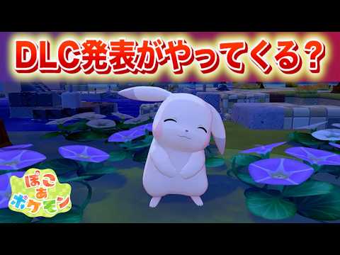 ぽこあポケモンのDLC発表がやってくる？【ぽこポケ】 サムネイル