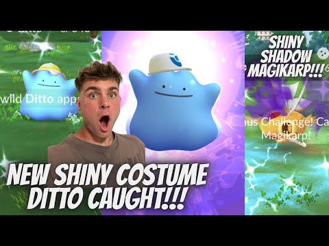 ✨NEW Shiny Costume DITTO CAUGHT! Shiny Shadow Magikarp and… サムネイル