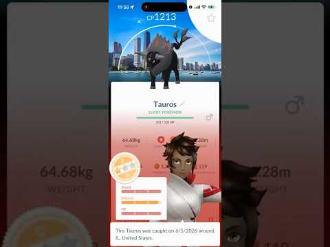 ✨I ALMOST GOT A SHUNDO BACKGROUND TAUROS in Pokemon Go… SO… サムネイル