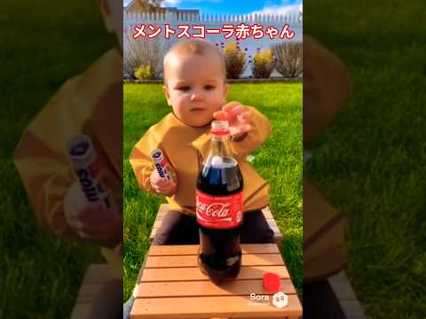 メントスコーラ赤ちゃんメントスコーラ赤ちゃんbaby サムネイル