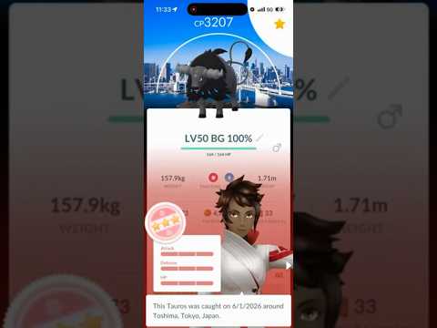💯RARE 100 IV BACKGROUND Paldean Tauros CAUGHT At Pokemon Go… サムネイル