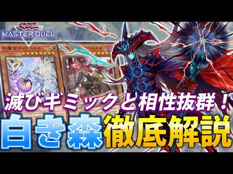 【制圧力超UP！】滅びギミックと相性抜群！白き森を徹底解説【遊戯王MasterDuel】 サムネイル