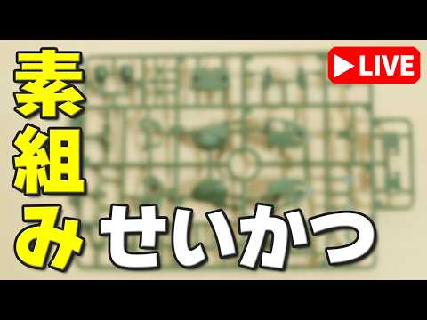 【素組みライブ】武装を増設した改良機！結構ボリュームありそうですｗ(；´Д`)ｺﾞﾎｺﾞﾎ…ｹﾞﾌﾝ サムネイル