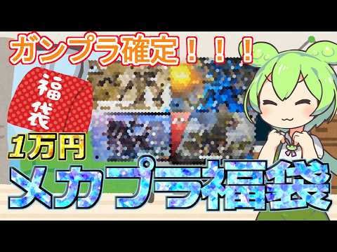 【プラモ福袋】ガンプラ確定！いろんなロボットが入ってるメカプラ福袋を購入してみた！【ほびっと】 サムネイル