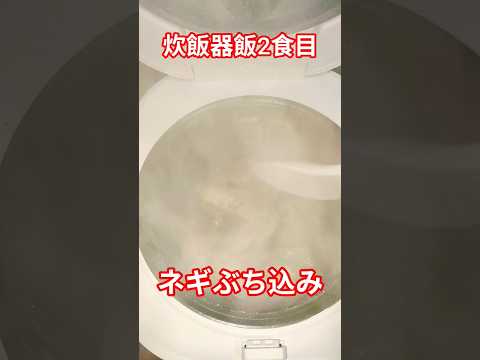 炊飯器飯2食目炊飯器飯shotsクッキング サムネイル