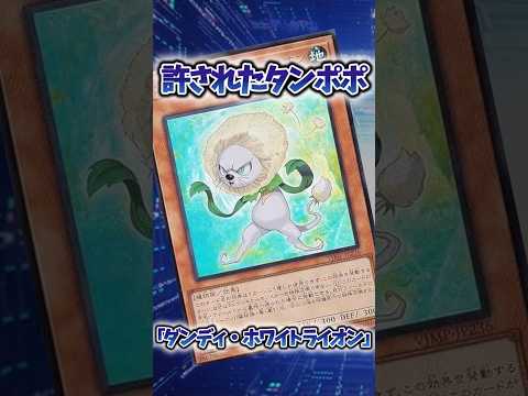 【遊戯王】遊戯王のリメイクカード「ダンディ・ホワイトライオン」 shorts 遊戯王 サムネイル