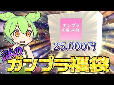 【ガンプラ福袋】レアキットが封入？！突如現れた謎のガンプラ福袋を購入してみた！ サムネイル