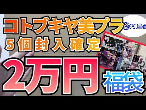 コトブキヤ美プラが入った福袋を開封‼　福袋　美プラ　コトブキヤ サムネイル