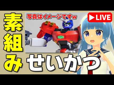 【素組みライブ】チボデー、大地に立つ。下半身を作って完成だ！「HGFC ガンダムマックスター」（後半） サムネイル