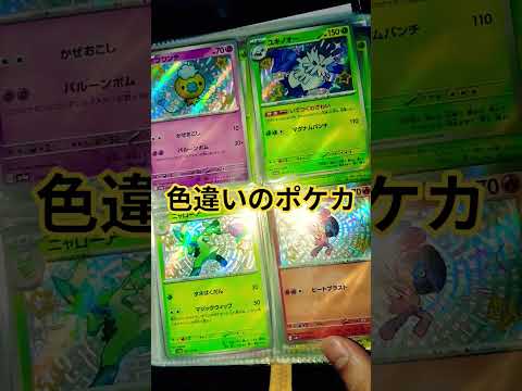 色違いのポケカ ポケモンカード チャンネル登録お願いします ポケカ再販最新情報 ポケカ pokemonpokemonc… サムネイル