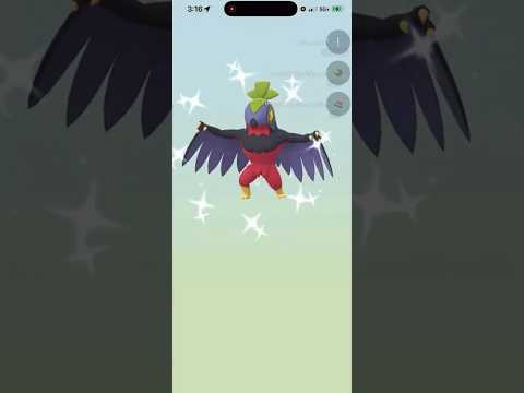 ✨Shiny Hawlucha HATCHED In Pokemon Go!✨ shorts pok サムネイル