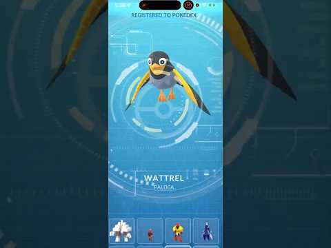 NEW Wattrel CAUGHT In Pokemon Go! shorts pokemon サムネイル