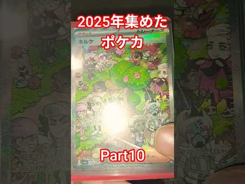 2025年集めたポケカ ポケカ ポケカ再販最新情報 ポケモンカード おれポケ ポケモン チャンネル登録お願いします ポ… サムネイル