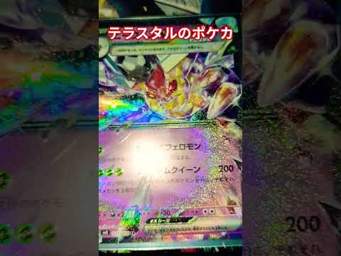 テラスタルのポケカ ポケカ ポケカ再販最新情報 ポケカ ポケモンカード チャンネル登録お願いします ポケモン poke… サムネイル