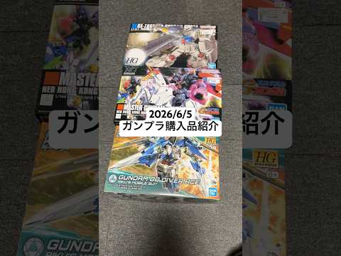 2026/6/5 ガンプラ購入品紹介！HGガンダムGP02サイサリスにHGマスターガンダム＆風雲再起にHGガンダムダブ… サムネイル