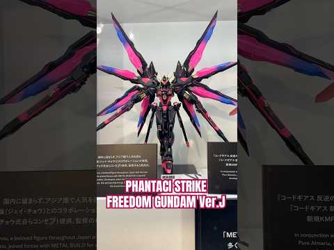 【ガンダム展示】メタルビルド PHANTACI STRIKEFREEDOM GUNDAM Ver.J コラボレーション… サムネイル