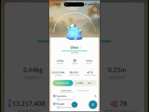 ✨Shiny Costume Ditto CAUGHT in Pokemon Go!✨ shorts pokemon サムネイル