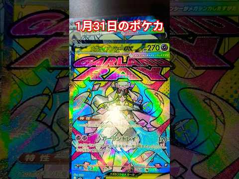 1月31日のポケカ ポケモンカード ポケカ再販最新情報 ポケカ チャンネル登録お願いします ポケモン pokemonc… サムネイル