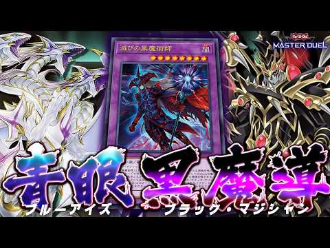 【夢の共演】海馬社長、遊戯からカードを借りパクして激ヤバデッキ爆誕へ『青眼×黒魔導』【遊戯王マスターデュエル】【Yu-… サムネイル