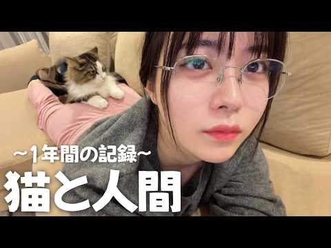 猫の尻に敷かれた【一年間の記録】 サムネイル