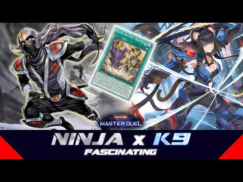 K9 feat. NINJA ⁉️  [Yu-Gi-Oh! Master Duel]​ サムネイル