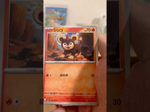 pokemon ポケモンカード　パック開封　メガシンフォニア　pokemon ポケモンカード25周年 ポケカ ポケモン… サムネイル