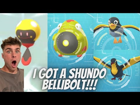 ✨💯I GOT A SHUNDO BELLIBOLT IN POKEMON GO!!!💯✨ サムネイル