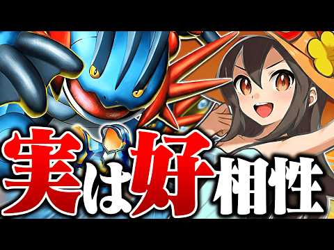 メガラグラージexとかんこうきゃくのシナジーがやばいｗｗｗ【ポケポケ】 サムネイル