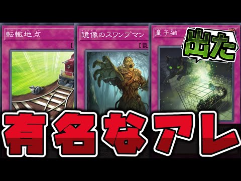 【遊戯王】 有名なアレをモチーフにした教養のありすぎる謎のカード3選 『量子猫』 【ゆっくり解説】 サムネイル