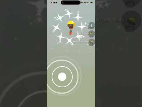 ✨Shiny Tadbulb HATCHED In Pokemon Go!✨ shorts pokemon サムネイル