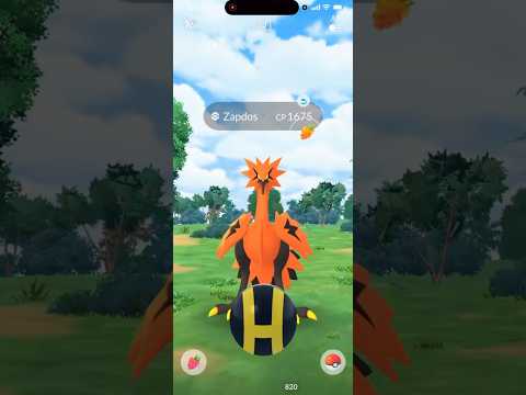 I CAUGHT THIS Galarian Bird In Pokemon Go! shorts pokemon サムネイル