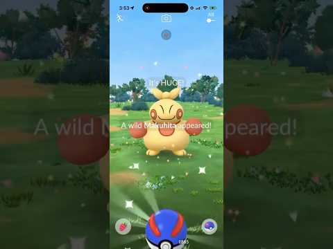 ✨I Caught THIS XXL SHINY Pokemon in Pokemon Go!✨ shorts pok… サムネイル