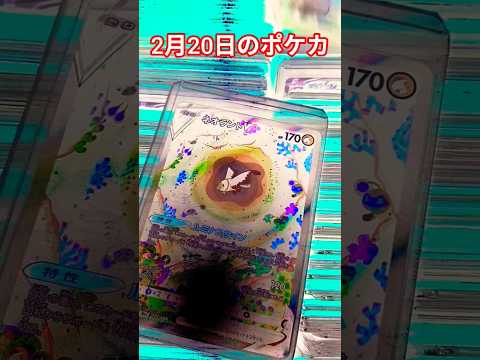 2月20日のポケカ ポケカ ポケカ再販最新情報 ポケカ ポケカ再販最新情報 pokemonpokemoncards l… サムネイル