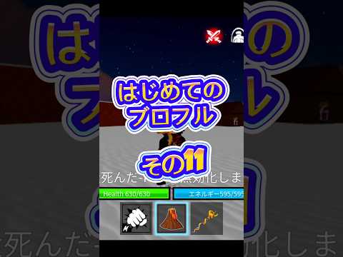 【閃光】roblox robloxfriends bloxfurit bloxfruits ロブロックス ブロフルブロ… サムネイル