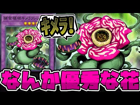 【遊戯王】 こんな見た目なのにめちゃくちゃ主人公エース級 『捕食植物キメラフレシア』 【ゆっくり解説】 サムネイル