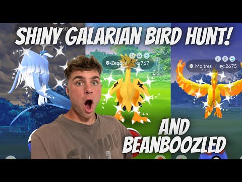 ✨Shiny Galarian Bird Hunt & BEANBOOZLED In Pokemon Go!✨ サムネイル