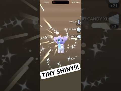 ✨I Hatched THIS RARE TINY SHINY CUBCHOO in Pokemon Go!!!✨ s… サムネイル